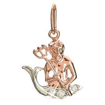 Sternzeichen Wassermann, Rot- / Weißgold 585°, Zirkonia, 24 mm Sternzeichen Wassermann, Rot- / Weißgold 585°, Zirkonia, 24 mm