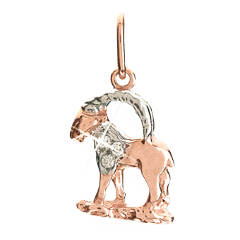 Sternzeichen Steinbock, Rotgold 585°, Zirkonia, 24 mm Sternzeichen Steinbock, Rotgold 585°, Zirkonia, 24 mm